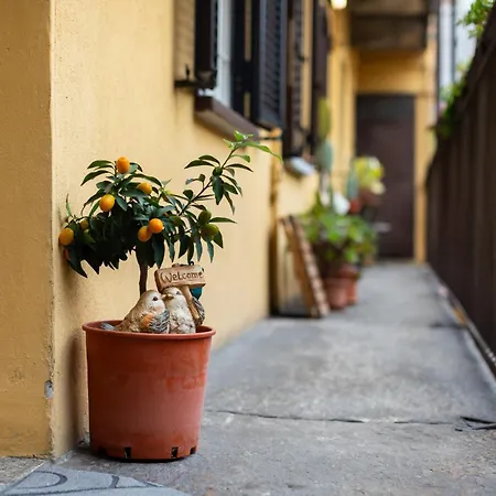 Apartment Salone Del Mobile-duomo-citylife In The Heart Of The *